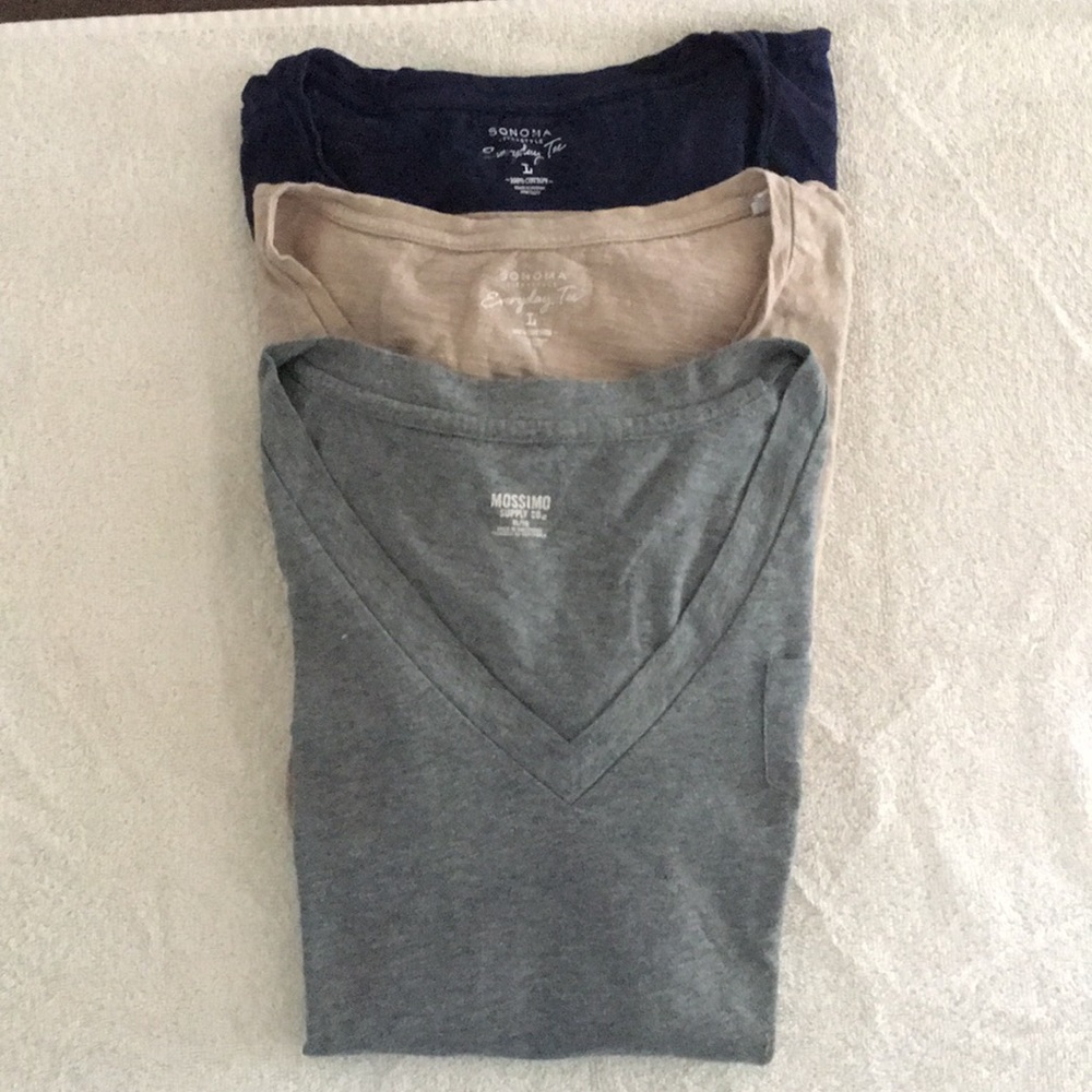 Bundle of 3 EUC Neutral V-neck Tees, L and XL